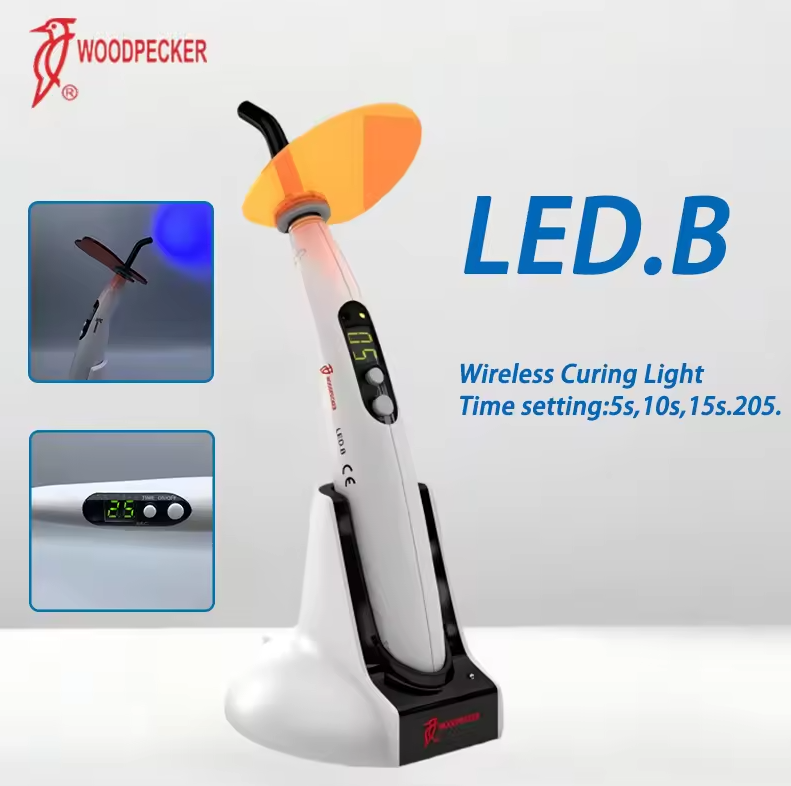 치과용 광중합기 우드페커 LED B LED 기계 구강  - Teeth Whitening Lamp 리뷰 및 가격