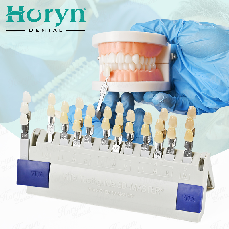 비타 3D 마스터 치과 연구소 표백 색상 가이드 29가 - Teeth Whitening (Bleaching) 리뷰 및 가격