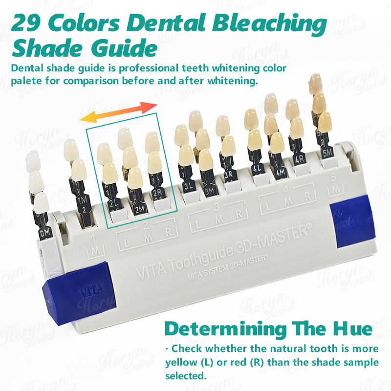 비타 3D 마스터 치과 연구소 표백 색상 가이드 29가 - Teeth Whitening (Bleaching) 리뷰 및 가격