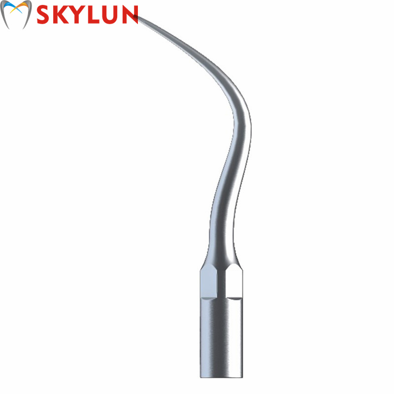 5PCS P4 치과용 초음파 스케일러 팁 치아 미백용  - Teeth Whitening Free 리뷰 및 가격